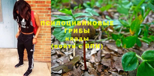 2c-b Няндома