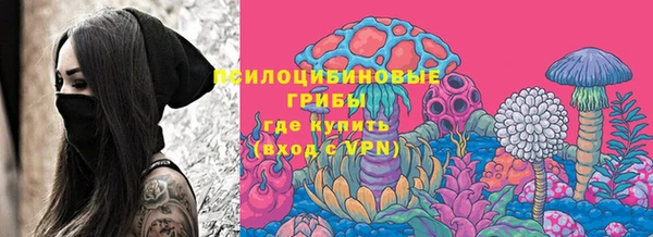мдпв Нягань