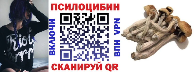 купить наркоту  Киреевск  Псилоцибиновые грибы Psilocybine cubensis 