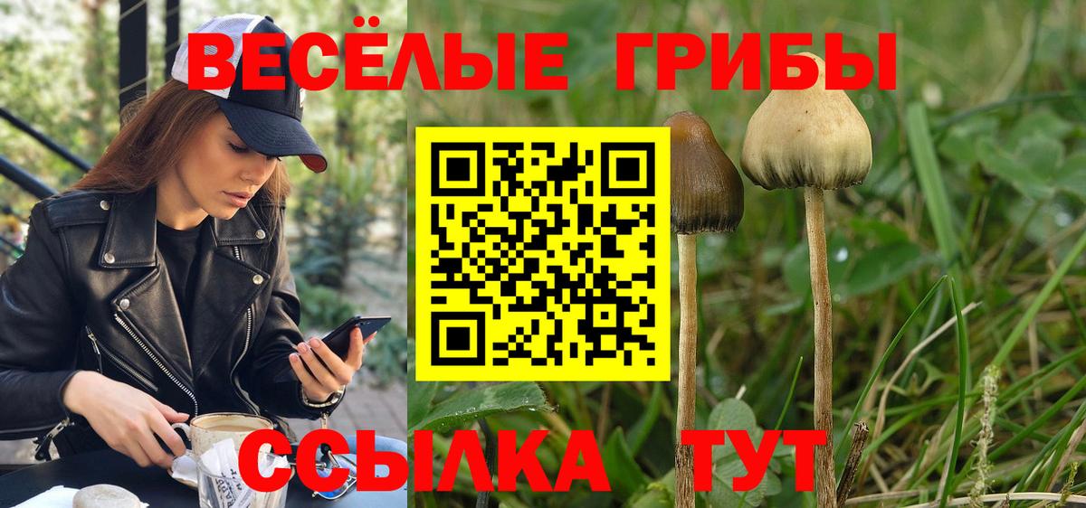 Меф кристаллы  Конопля  COCAIN  A PVP СК кристаллы  Экстази  ГАШИШ  Киреевск  Вход с VPN 