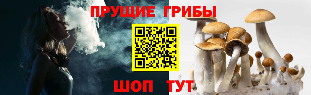 Киреевск  Псилоцибиновые грибы мицелий  Вход с VPN 